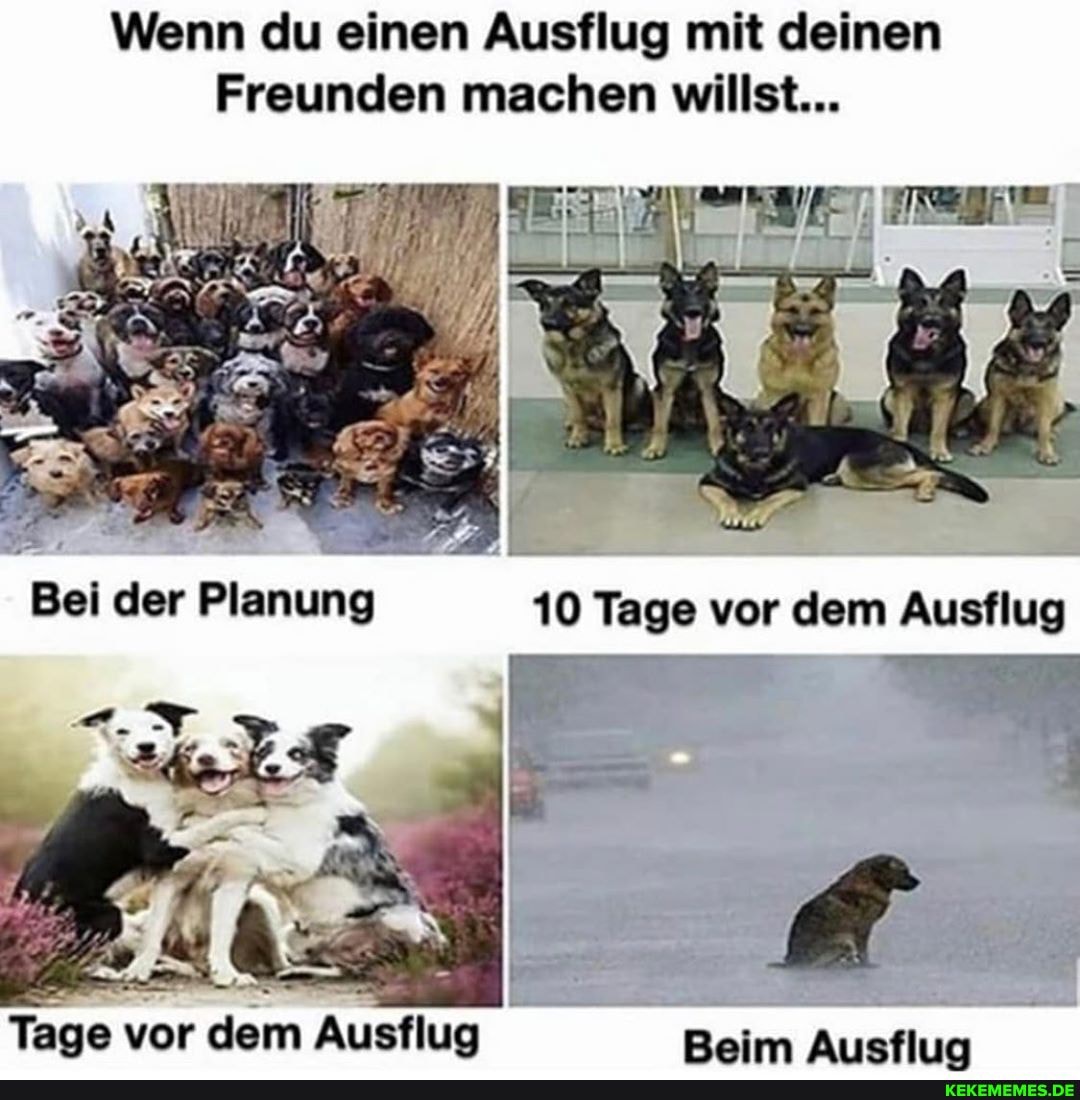 Wenn du einen Ausflug mit deinen
Freunden machen willst...
10 Tage vor dem Ausflug
Tage vor dem Ausflug Beim Ausflun