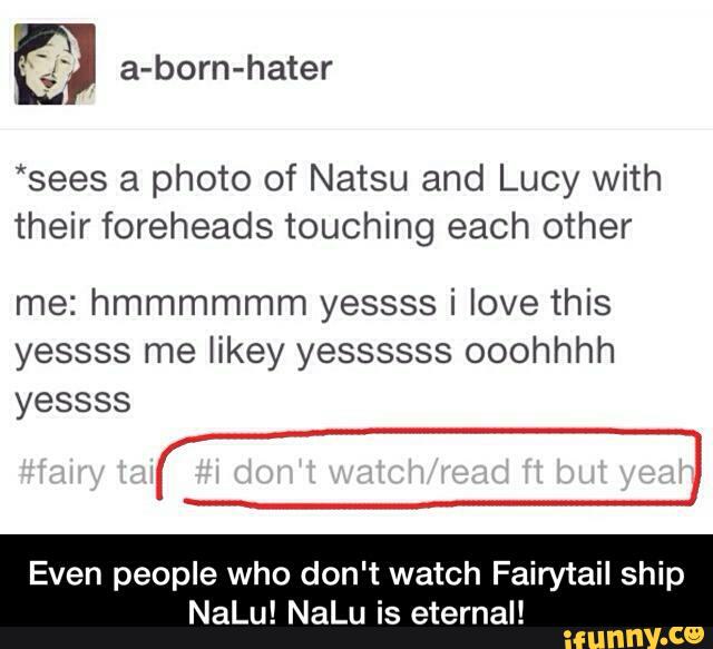 *sees a photo of Natsu and Lucy with
their foreheads touching each other
me: hmmmmmm yessss i love this
yessss me likey yessssss ooohhhh
yessss
Even people who don't watch Fairytail ship
NaLu! NaLu is eternal!