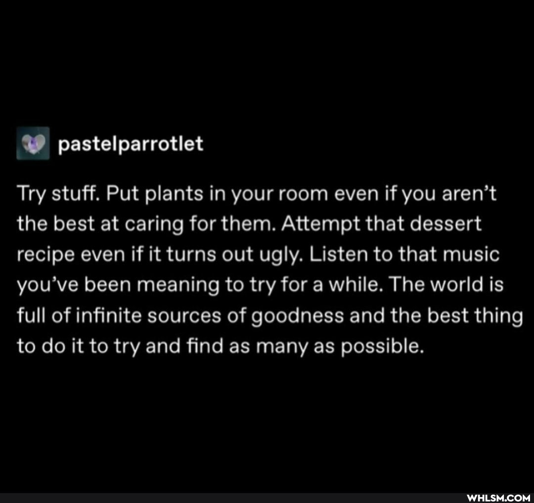 Try stuff. Put plants in your room even if you aren't the best at caring for them. Attempt that dessert recipe even if it turns out ugly. Listen to that music you've been meaning to try for a while. The world is full of infinite sources of goodness and the best thing to do it to try and find as many as possible.