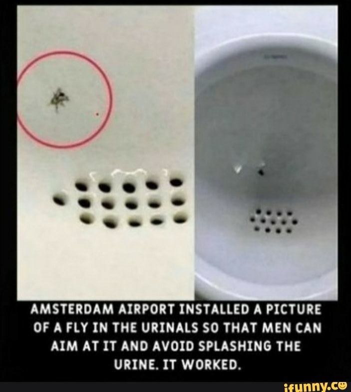 AMSTERDAM AIRPORT INSTALLED A PICTURE OF A FLY IN THE URINALS SO THAT