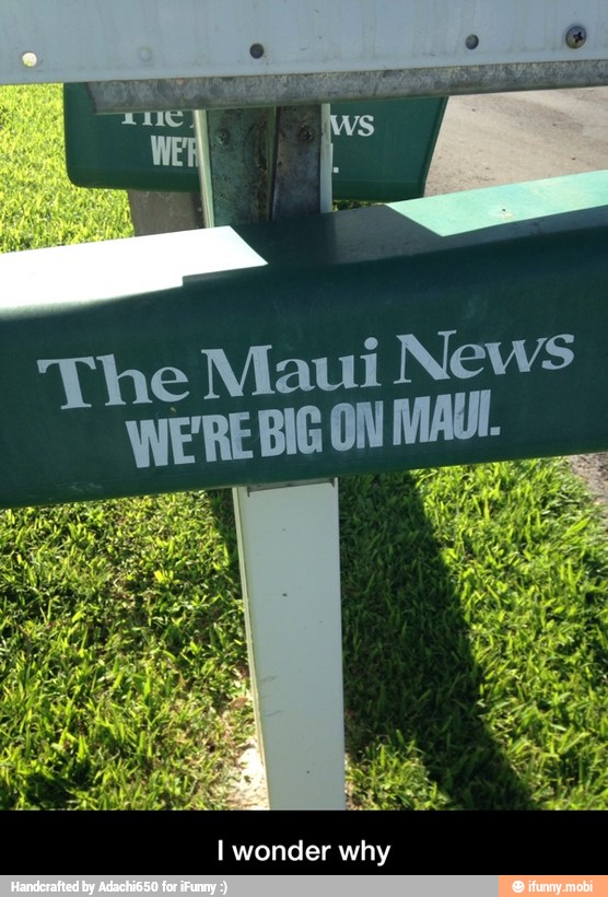 The Maui News
Maat ON MAUI.
I wonder why - I wonder why