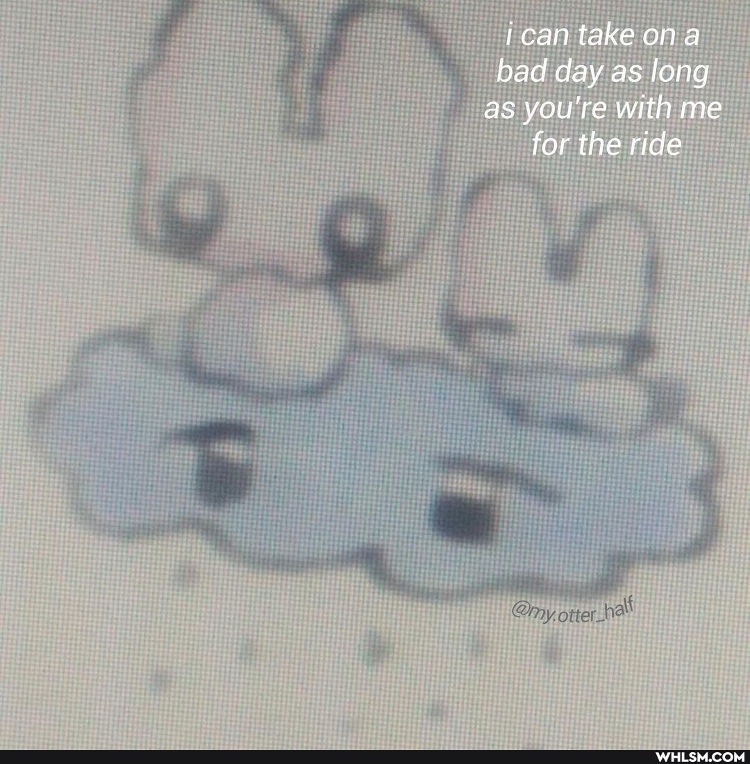 ican take ona bad day as long as you're with me for the ride