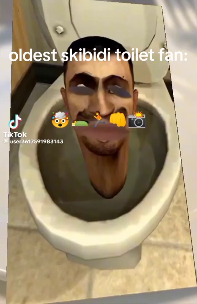 Skibidi Toilet Fan 