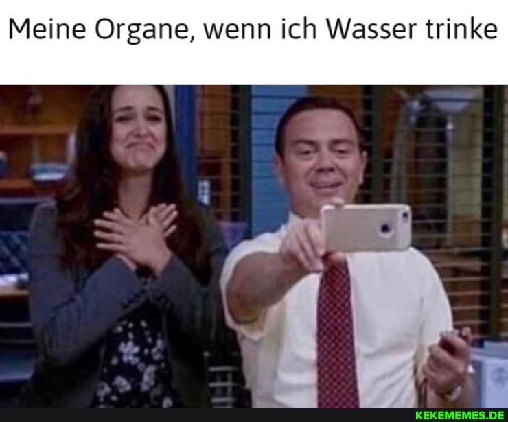 Meine Organe, wenn ich Wasser trinke
