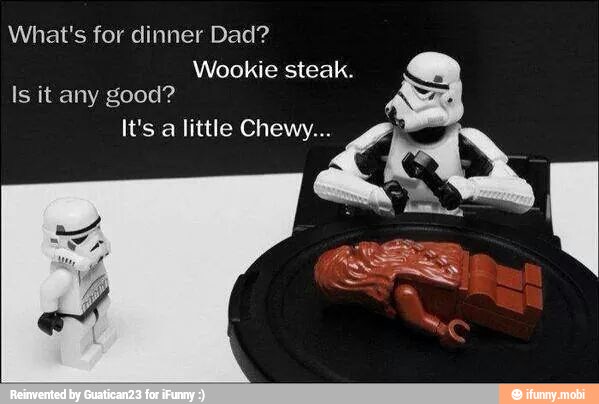 What's for dinner Dad?
Wookie steak.
Is it good?
ex