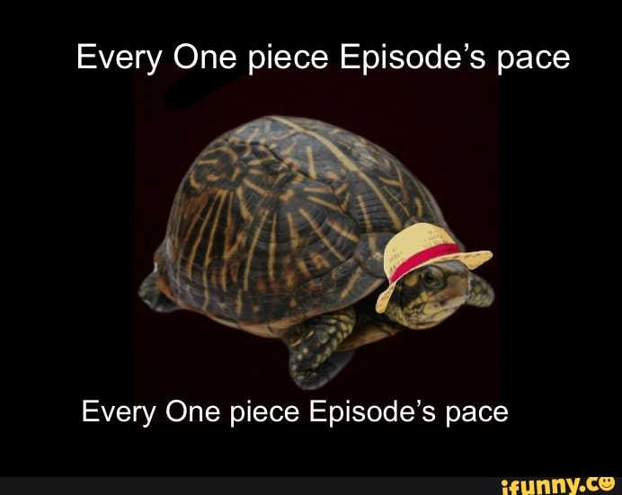 Every One Piece Episode S Pace Every One Piece Episode S Pace Ifunny