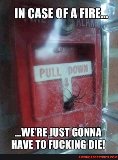 IN CASE OF A FIREE
WERE JUST GONNA HAVE T) FUCKING DIE!
