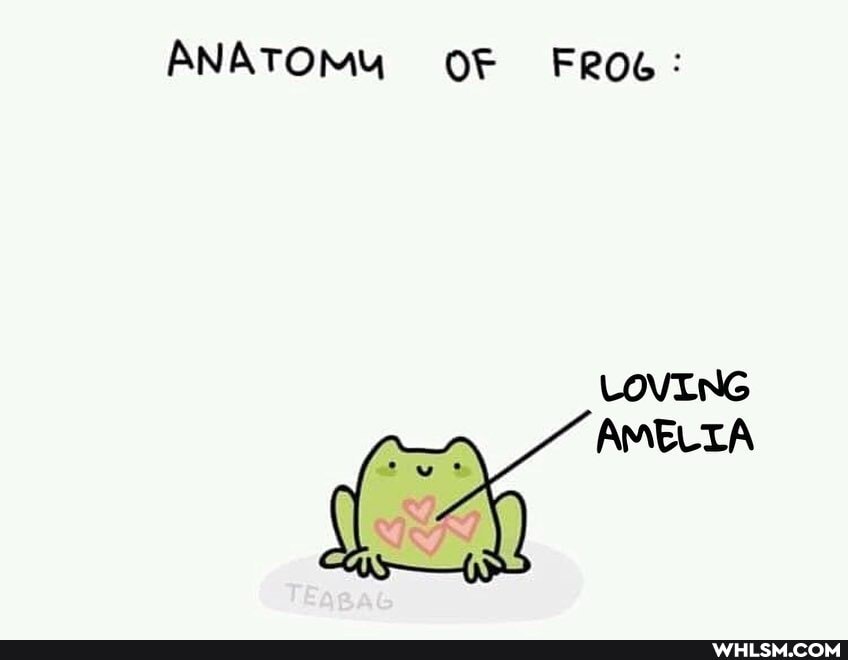 ANATOMY OF FROG:
LOVING
AMELTA