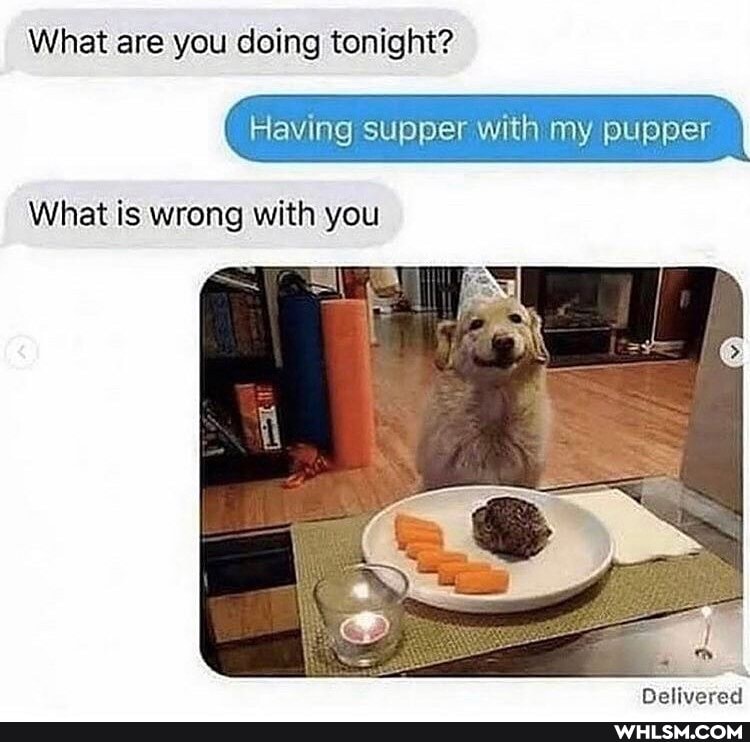 What are you doing tonight?
Having supper with my pupper
Neliverad
What is wrong with you