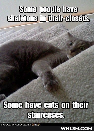 Some people have skeletons in_their-closets.
Some have cats on their staircases.