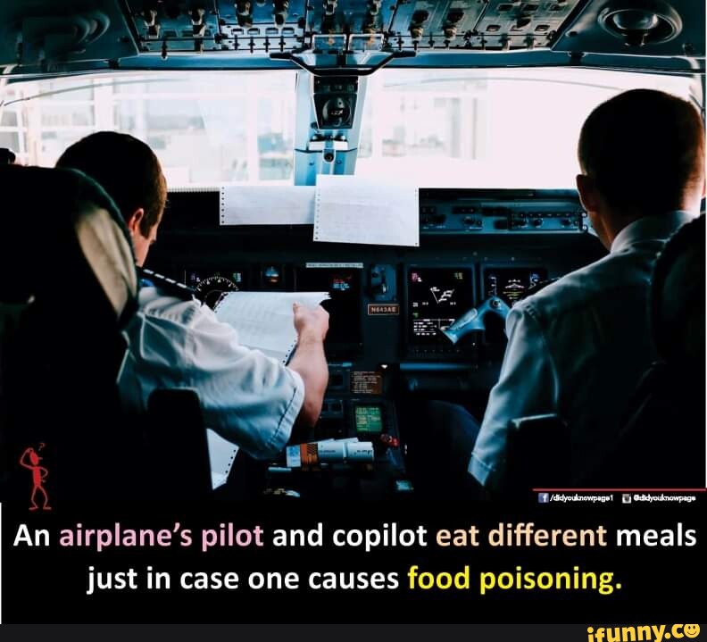 An airplane's pilot and copilot eat different meals just in case one causes food poisoning. iFunny