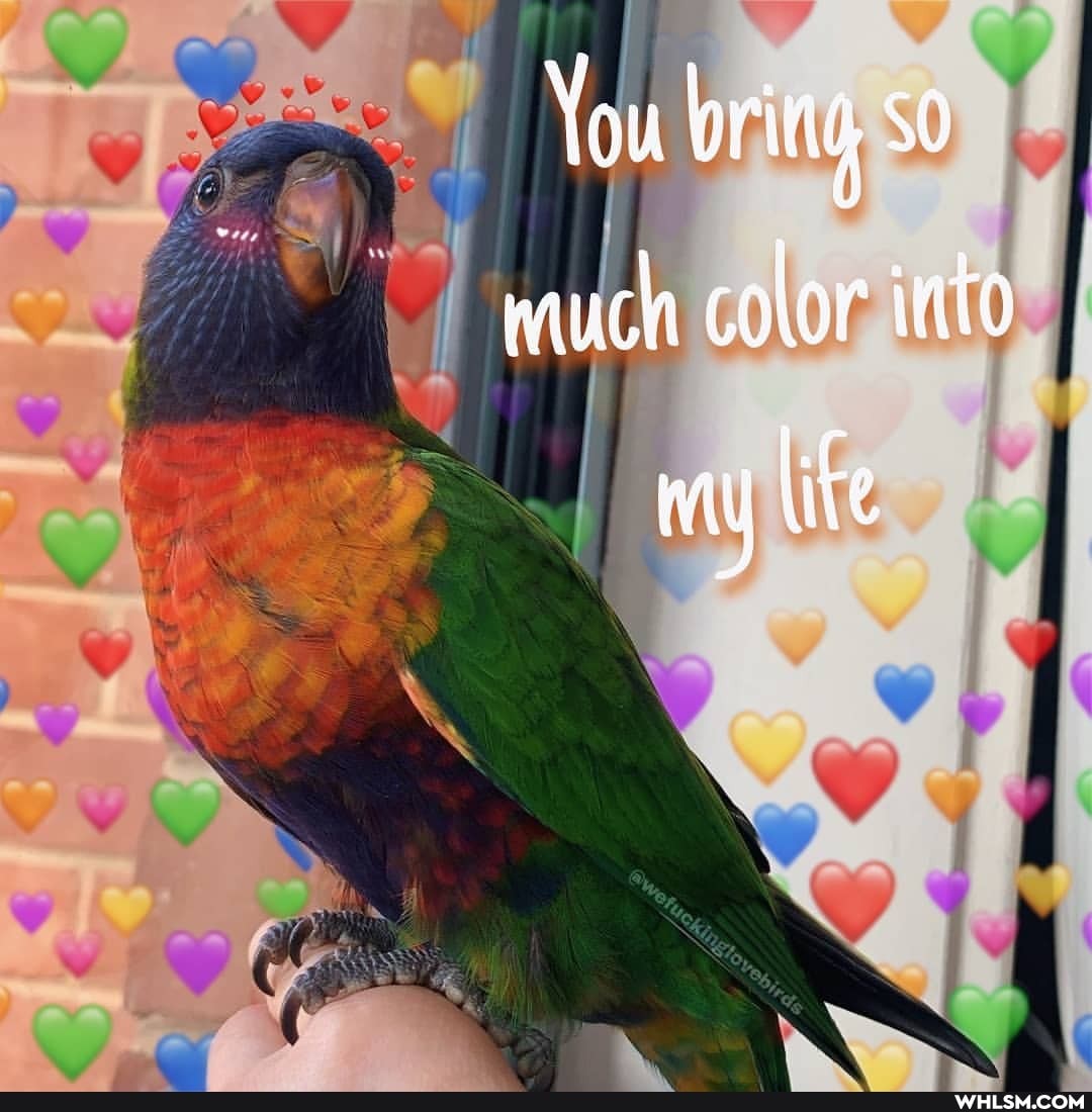 You bring much color into
Wty life