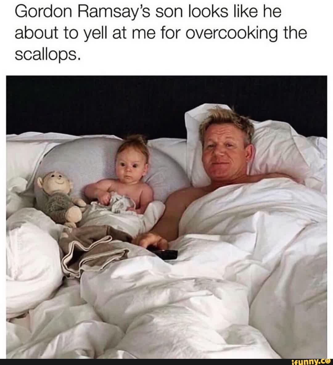 Gordon Ramsay's son looks like he
about to yell at me for overcooking the
scallops.