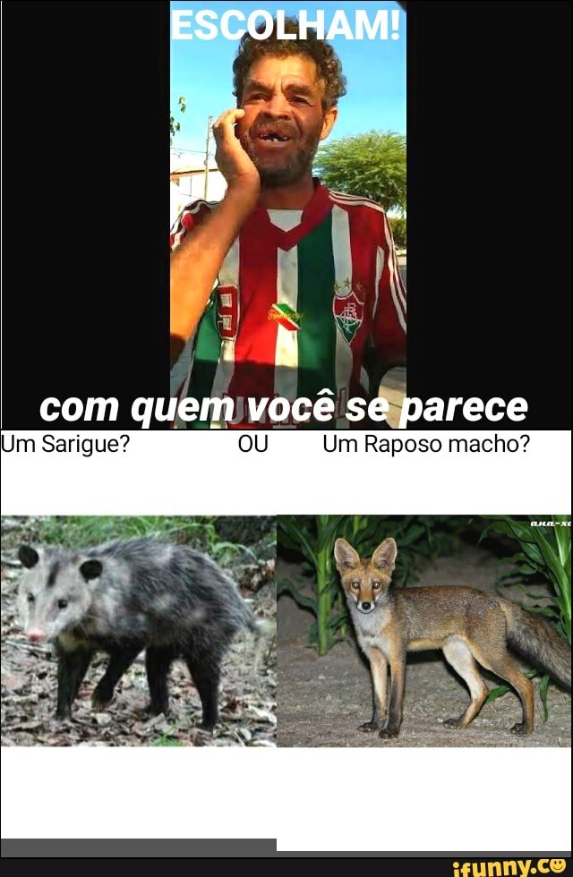 ESCOLHAM!
po " com quem você se parece
Im Sarigue? OU Um Raposo macho?