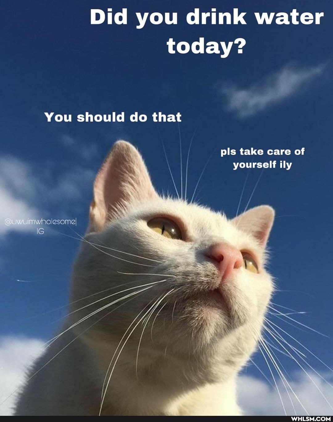 Did you drink water today?
You should do that
pis take care of
yourself ily