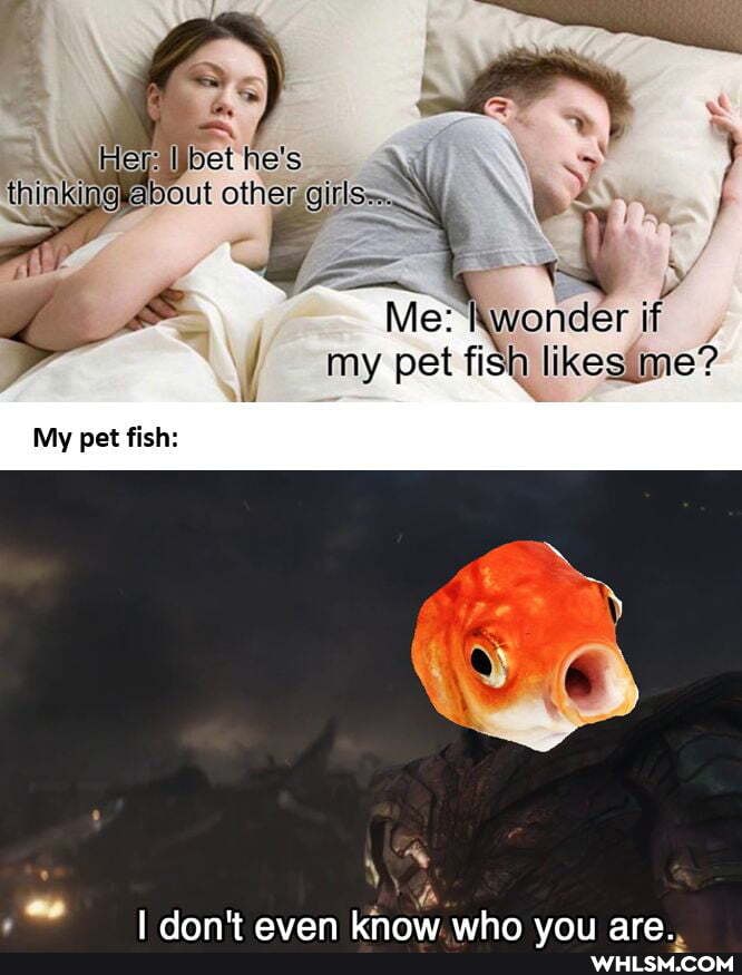 evaibet he's thinkigggebout other b
Me: wonder if my pet fish likes.me?
My pet fish:
lLaAnn avan binnw whn ara