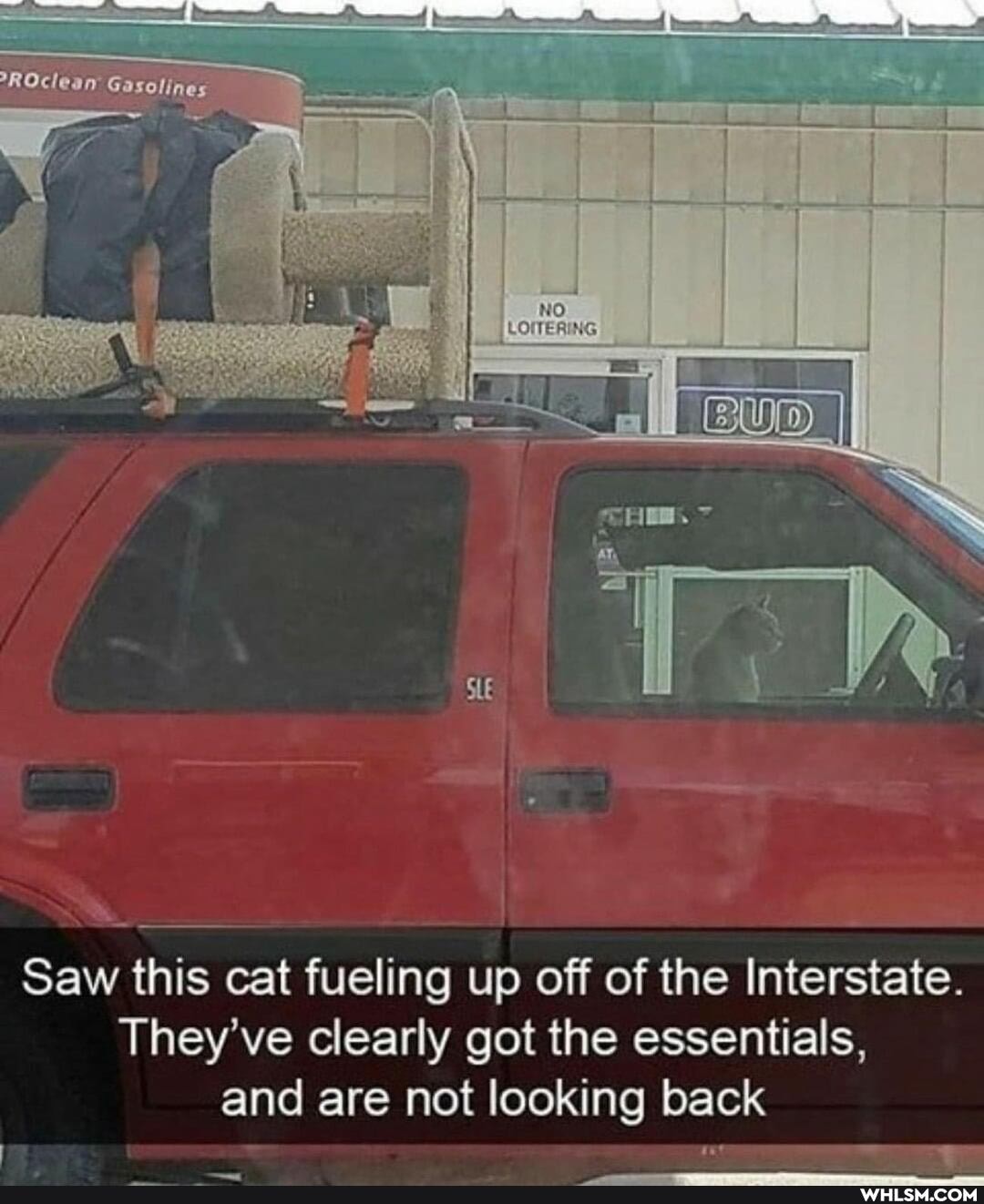 SS
Saw this cat fueling up off of the Interstate.
They've clearly got the essentials, and are not looking back