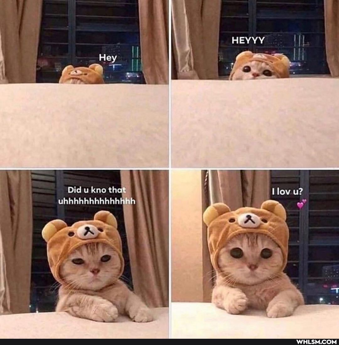 HEY YYY
Hew
Did wkne that How u?