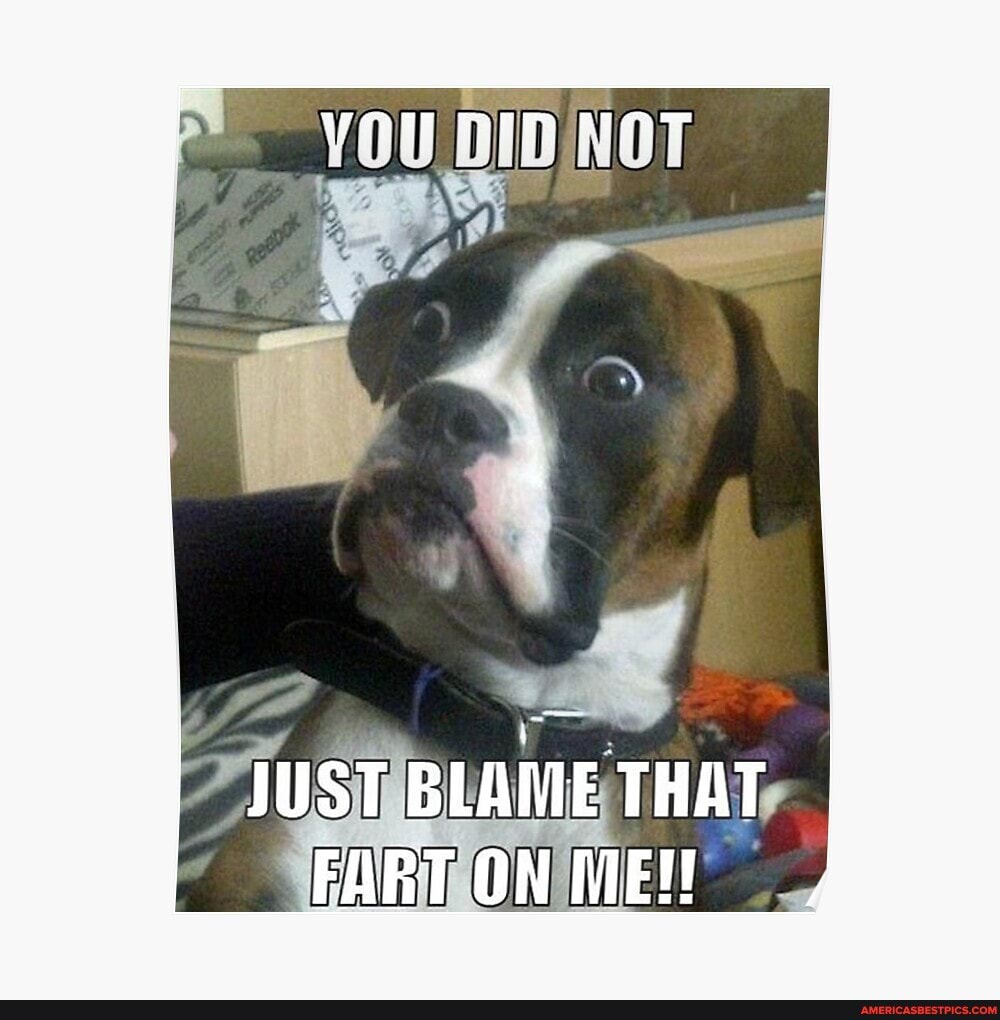 You DID
JUST BLAME THAT FART ON ME!