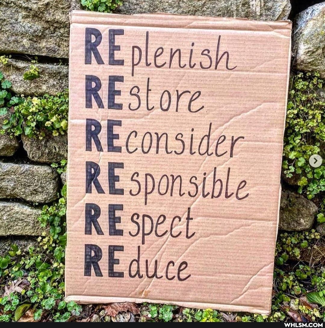 RE plenis
REstore
REconsider
RE Sponsible
RE spect
REduce