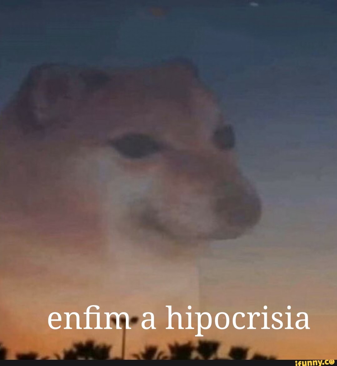 basedememes, catioro, tendência