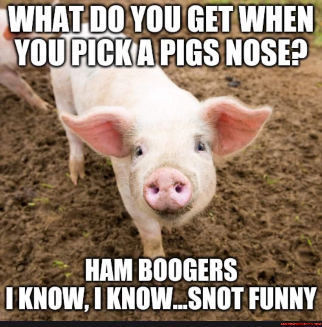 WHAT,DO YOU GET WHEN YOu PICK PIGS NOSE>
HAM BOOGERS KNOW, KNOW. SNOT FUNNY
