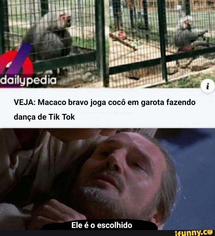 dailypedia 79
VEJA: Macaco bravo joga cocô em garota fazendo
dança de Tik Tok
Ele é o escolhido