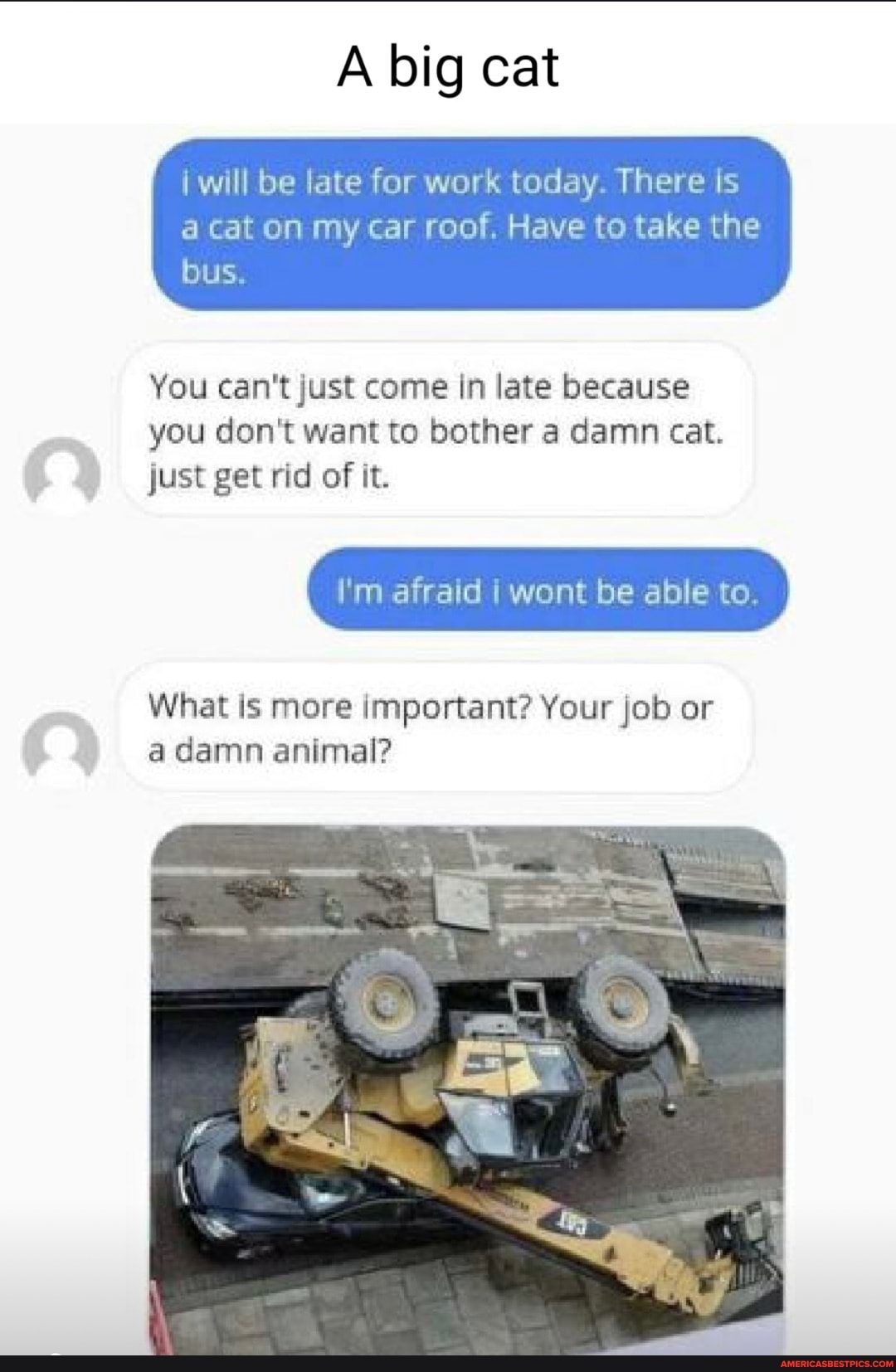 big cat
i will be late for work today. There is
bus.
re
cat on my car roof. Have to take the
You can't just come in late because you don't want to bother a damn cat.
just get rid of it.
be able te
What is more important? Your job or a damn animal?