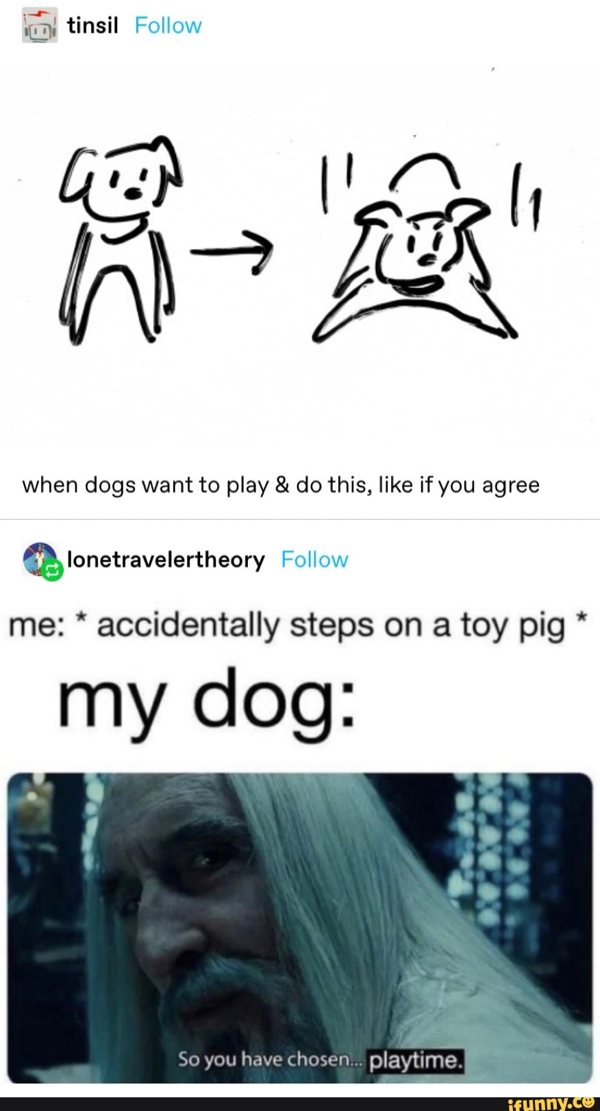 why do dogs want to play