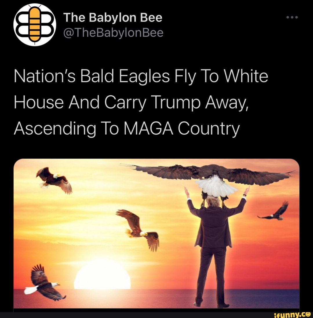 The Babylon Bee Nation's Bald Eagles Fly To White House And Carry Trump ...