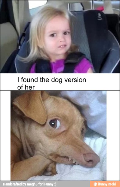 I found the dog version
of her