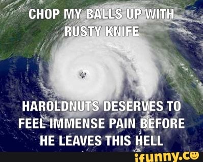 CHOP MY BALLS UP WITH RUSTY KNIFE
HAROLDNUTS DESERVES TO FEEL IMMENSE PAIN BEFORE HE LEAVES THIS HELL