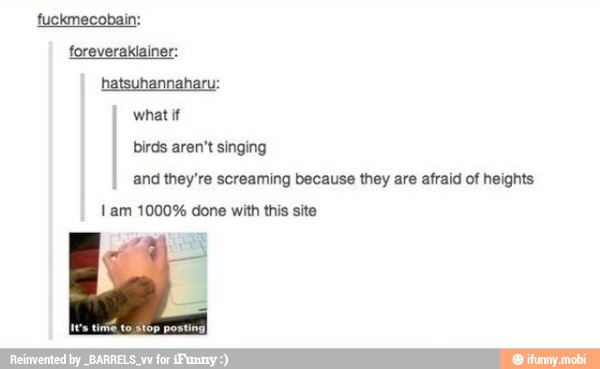 fuckmecobain:
foreveraklainer:
hatsuhannaharu:
what if
birds aren't singing
and they're screaming because they are afraid of heights
Lam 1000% done with this site