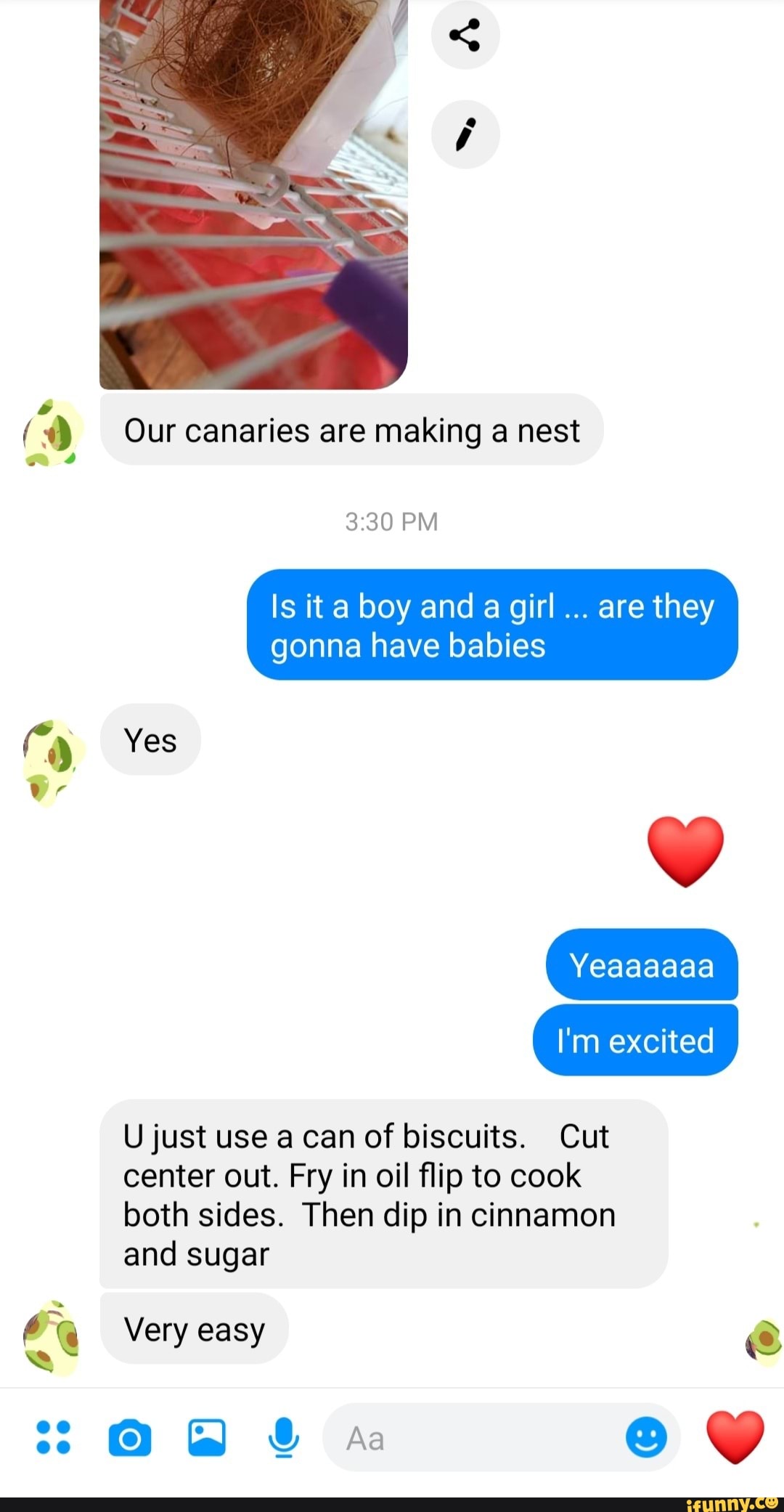Our canaries are making a nest
Is it a boy and a girl
are they
gonna have babies
U just use a can of biscuits. Cut
center out. Fry in oil flip to cook
both sides. Then dip in cinnamon
and sugar
