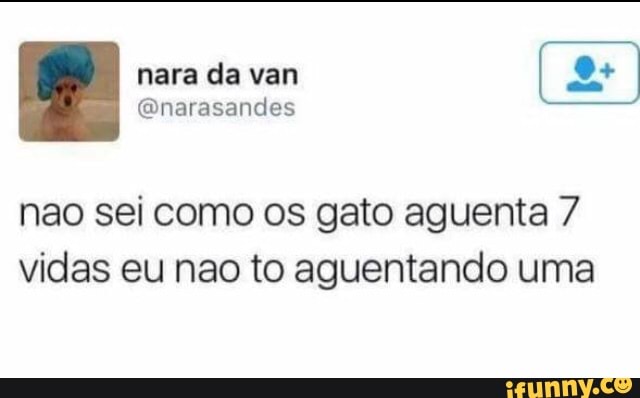 nao sei como os gato aguenta 7
vidas eu nao to aguentando uma