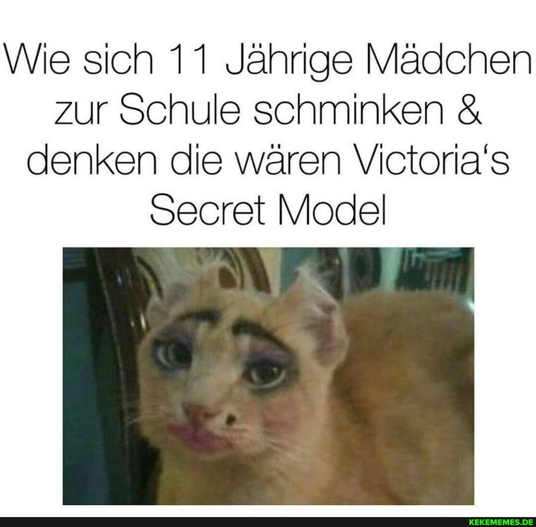 Wie sich 11 Jährige Mädchen zur Schule schminken & denken die wären Victoria's
Secret Model