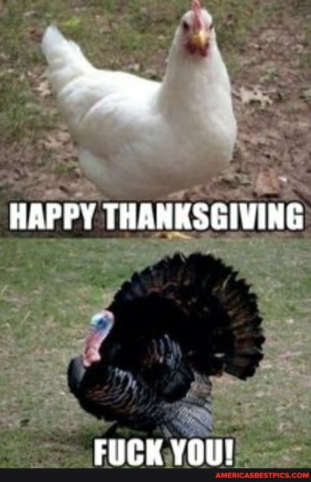 HAPPY THANKSGIVING
FUCK YOU!