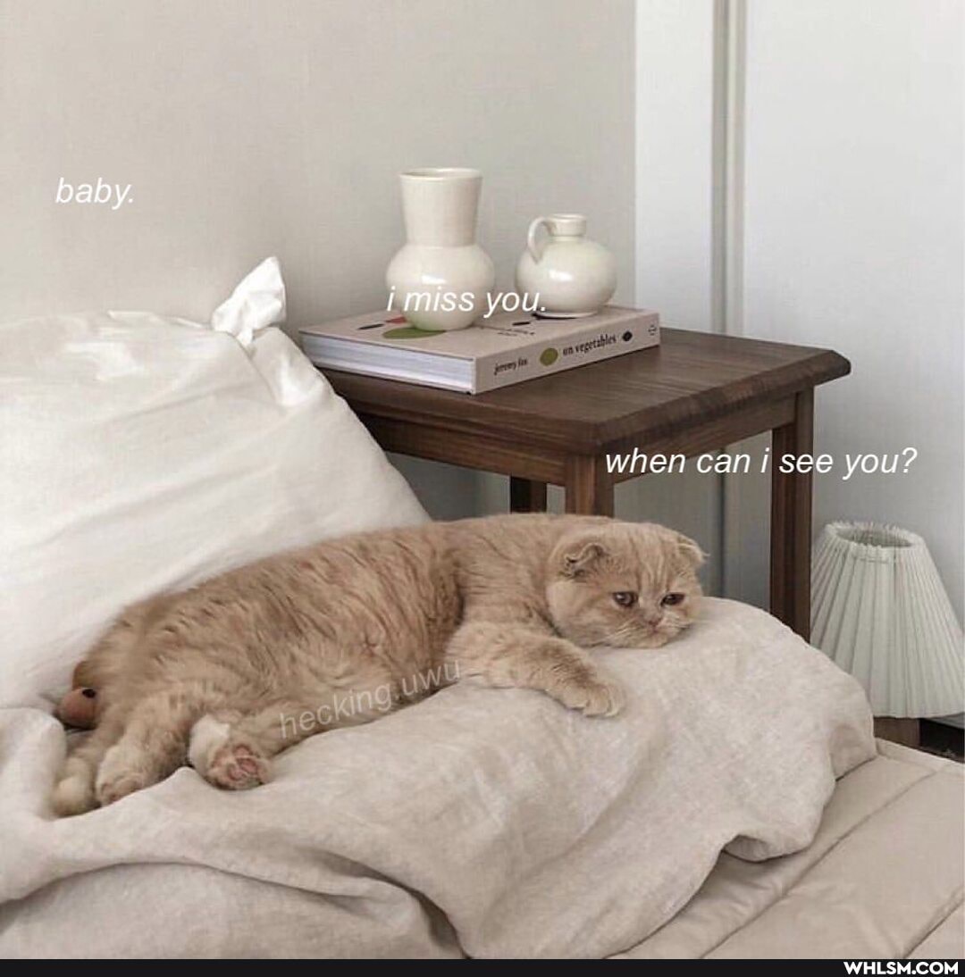 baby.
you.
when can i see you?
