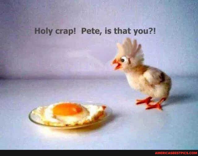 ip! Pete, is that you?!