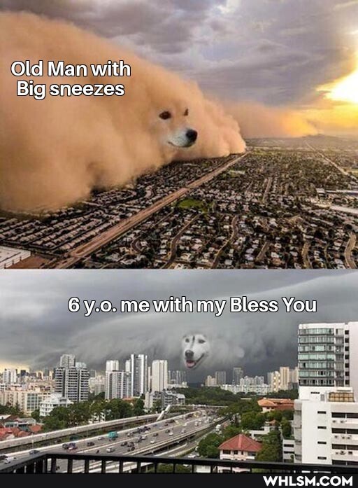 Old Man with
Big sneezes
6 y.o. me with my Bless You