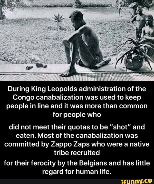 Leopolds memes. Best Collection of funny Leopolds pictures on iFunny
