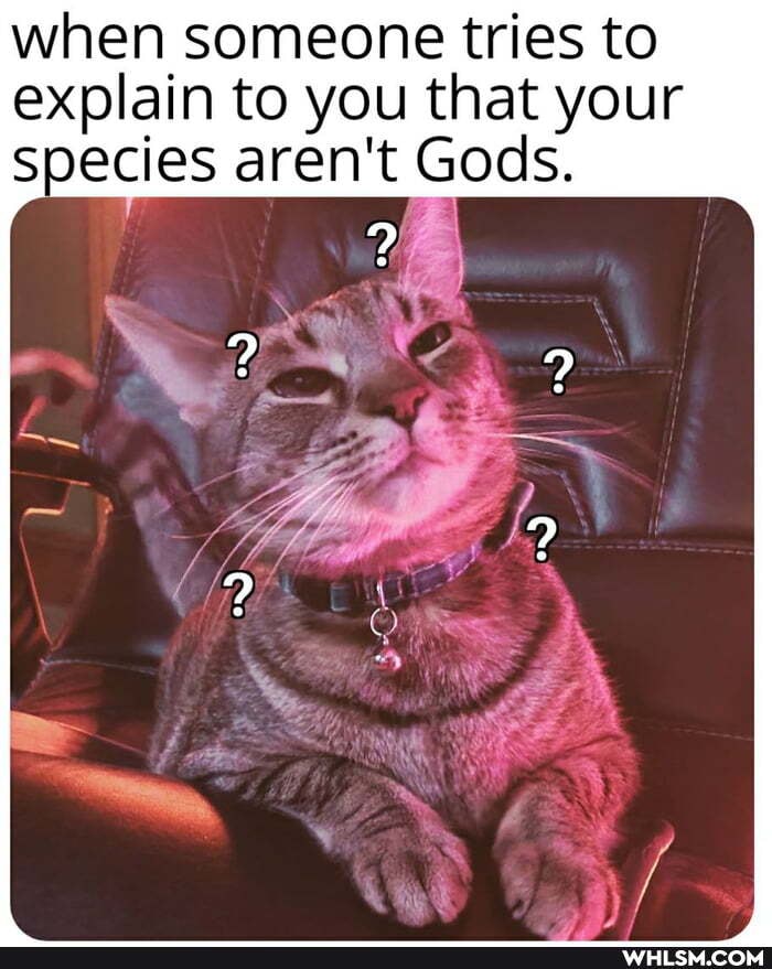 when someone tries to explain to you that your
species aren't Gods.