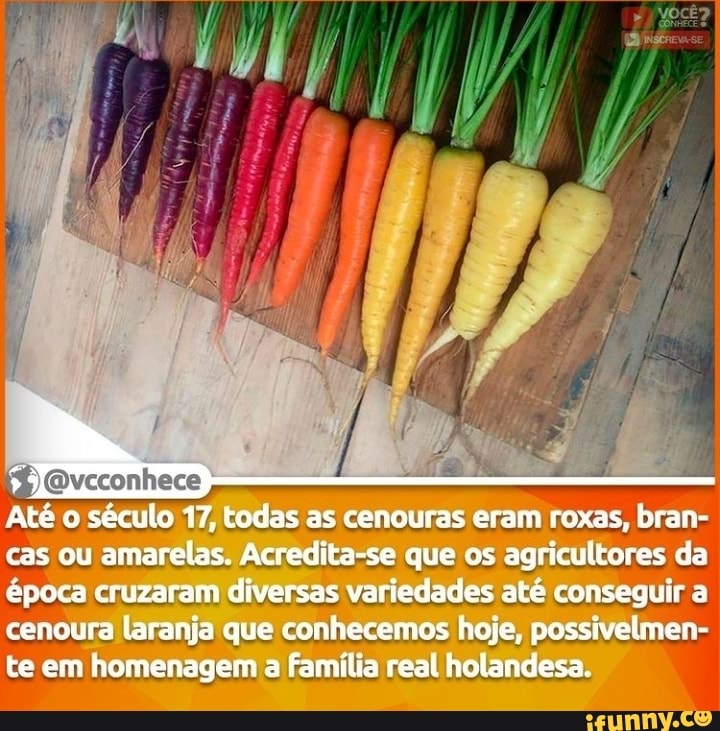 Ate o século 17, todas as cenouras eram roxas, bran- cas ou amarelas. Acredita-se que os agricultores da época cruzaram diversas variedades até conseguir a cenoura laranja que conhecemos hoje, possivelmen- te em homenagem a família real holandesa.