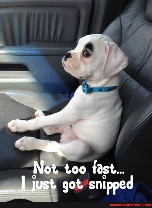 Not too fast...
__.I Just got. snipped
