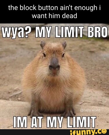 The block button ain't enough want him dead wya? MY LIMIT BRO IM AT MY ...