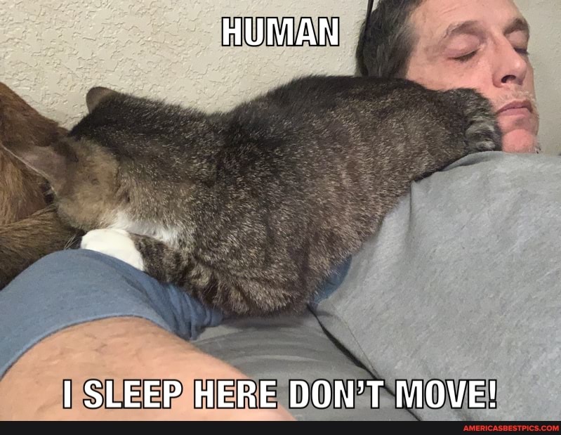 HUMAN
I SLEEP HERE DON'T MOVE!