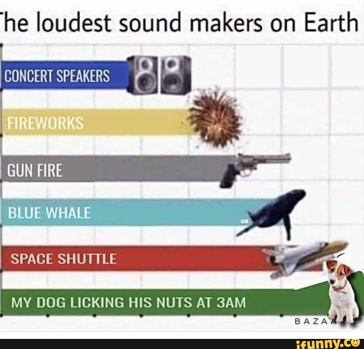 he-loudest-sound-makers-on-earth-concert-speakers-gun-fire-blue-whale