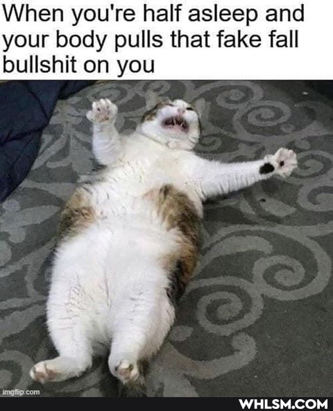 When you're half asleep and your body pulls that fake fall bullshit on you