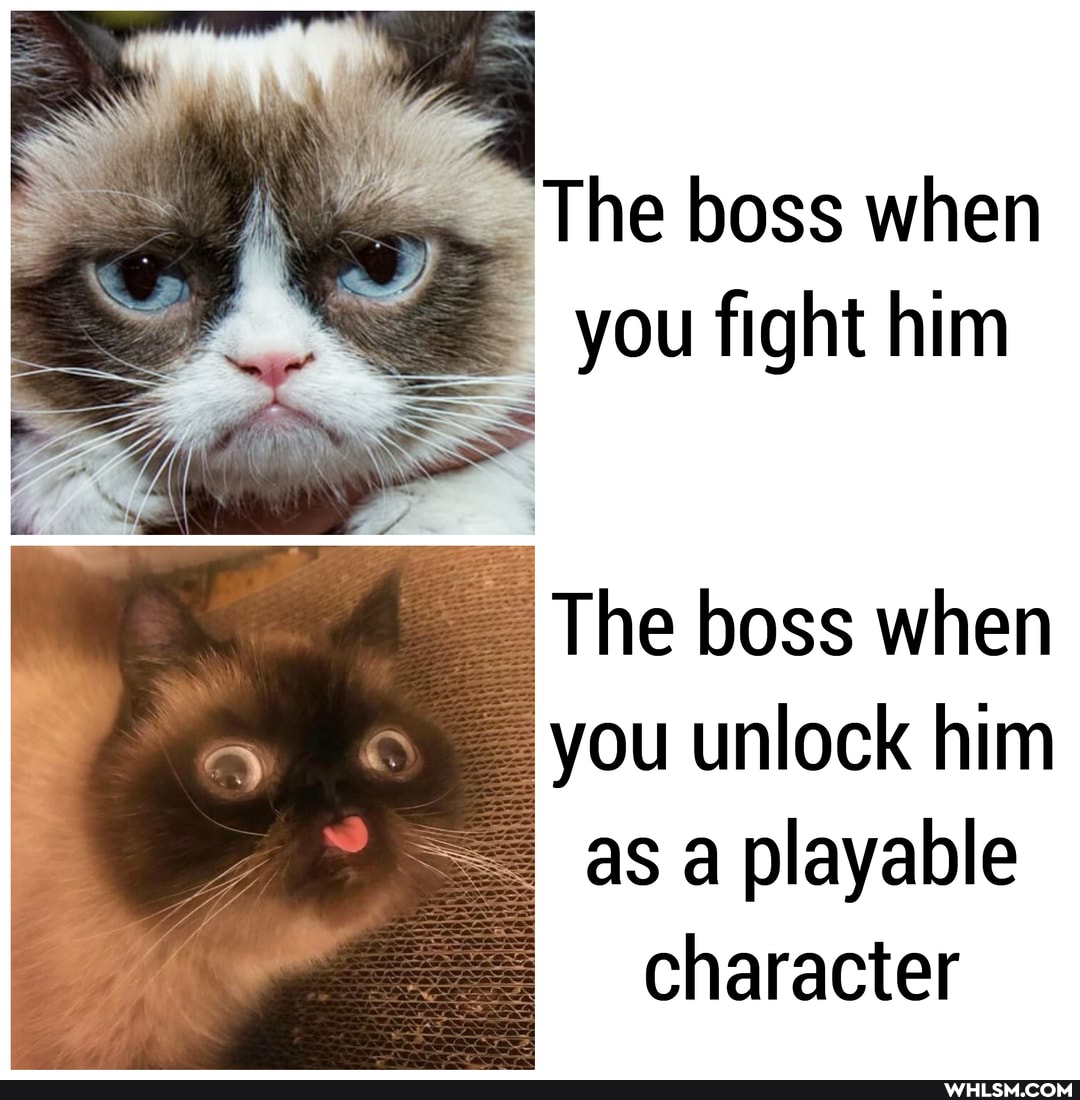 The boss when
F I I you fight him
The boss when you unlock him as a playable character