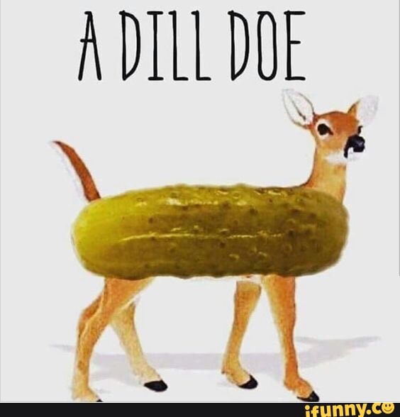 Dilldoe memes. Best Collection of funny Dilldoe pictures on iFunny